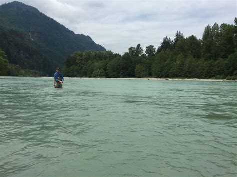 Best Times For Fishing In Bc In Silversides Fishing Adventures