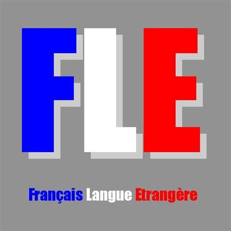 Enseigner Le Fran Ais Le Point Du Fle Fle C T Cours