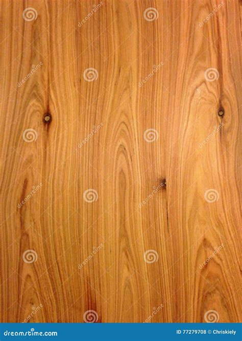 White Cypress Pine Wood stock photo. Image of hard, queensland - 77279708