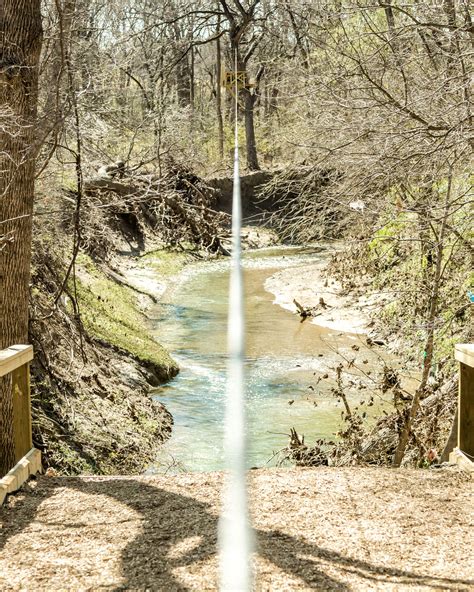 Go Ape Treetop Adventure Course Opens in Plano - Plano Magazine