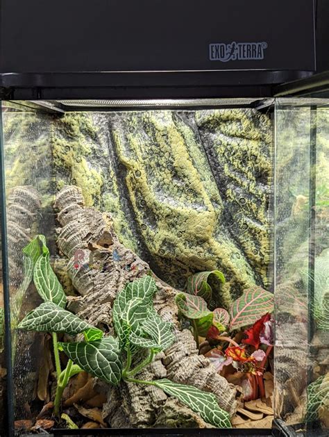 Xcomplete Bioactive Vivarium X X Sold Reference Pet Pedes