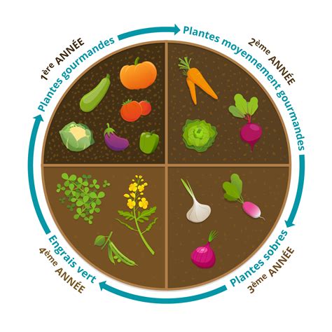 Exemples De Rotation Des Cultures