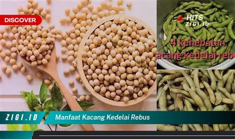 Temukan 5 Manfaat Kacang Kedelai Rebus yang Bikin Kamu Penasaran