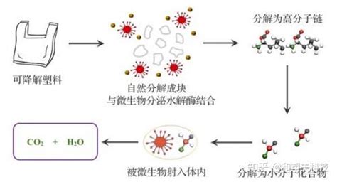 可降解塑料的降解机理：生物降解与光降解篇 知乎