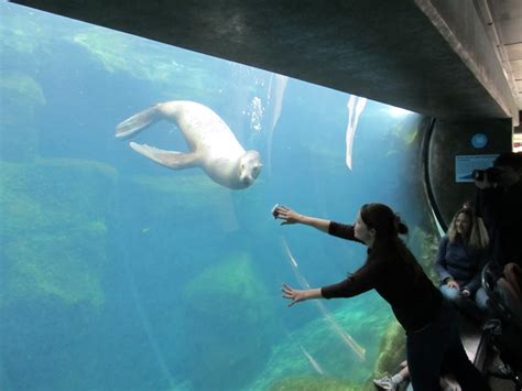 Long Beach Aquarium of the Pacific