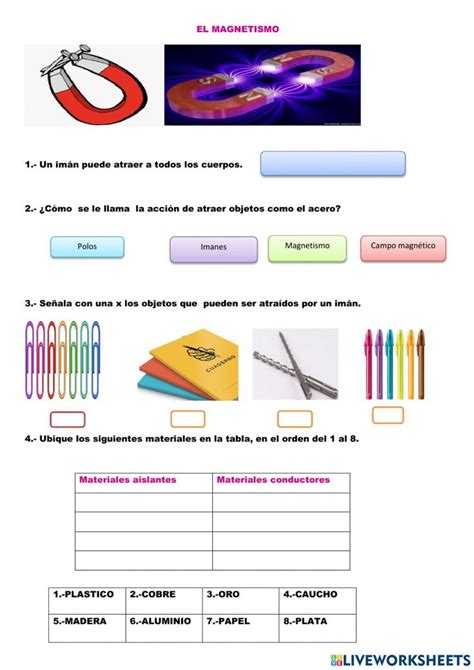 El Magnetismo Activity Magnetismo Actividades Para Primaria