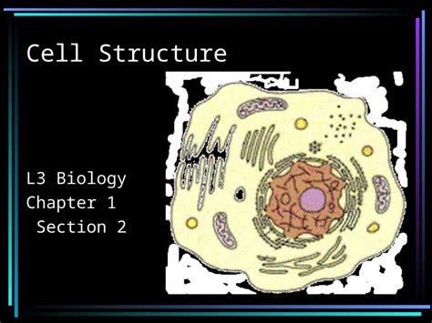 Ppt Cell Structure L3 Biology Chapter 1 Section 2 What Is A Cell