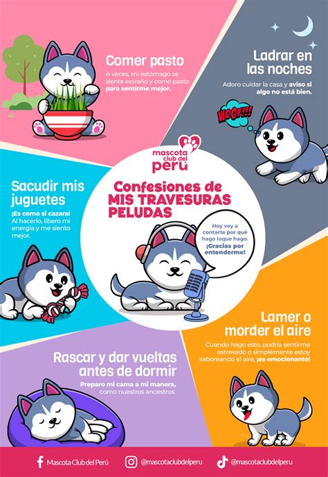 Infografia 1 Mascota Club Del Perú