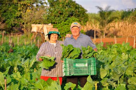 Agricultura Familiar O Que Suas Caracter Sticas E Import Ncia