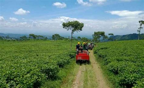 17 Rekomendasi Wisata Tawangmangu yang Harus Kamu Kunjungi