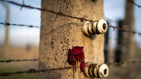 Auschwitz Birkenau Anniversary A Look Back At 75 Years Since