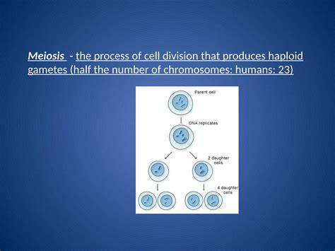 Science Cell Division Mitosis Meiosis Ppt Pptx