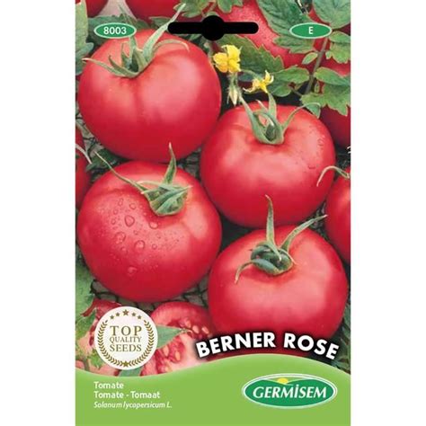 Germisem Graines Tomate Berner Rose W Cdiscount Jardin