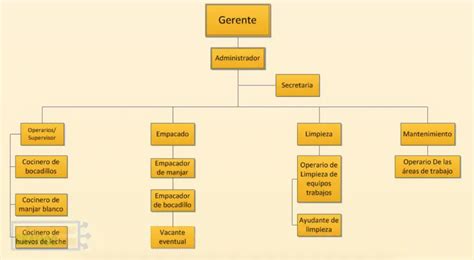 Ejemplos Organigrama De Una Cafeteria Cafeteria