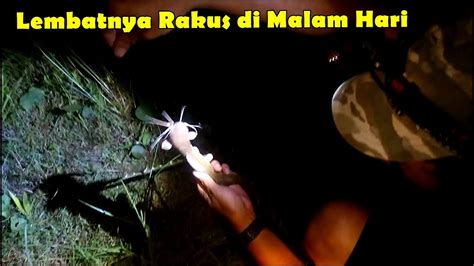 Mancing LEMBAT Malam Hari EFEKTIF YouTube