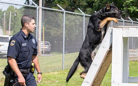 Rockland County Sheriff S Officer Bragaglia And K9 Mac Graduate From K9 Patrol School Rockland