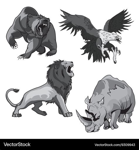 Zoo Rhino Hawk Grizzly Bear And Savannah Lion Vector Image