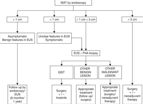 Figure 2 Proposed Strategies For Management Of Submucosal Tumor Smt