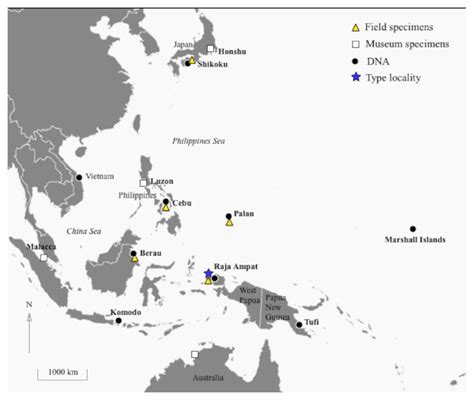 Indo Pacific Map