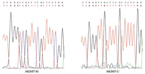 Validation of the results obtained by methylation-specific polymerase ...