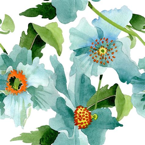 Blue Poppy Floral Botanical Flowers Watercolor Background Illustration