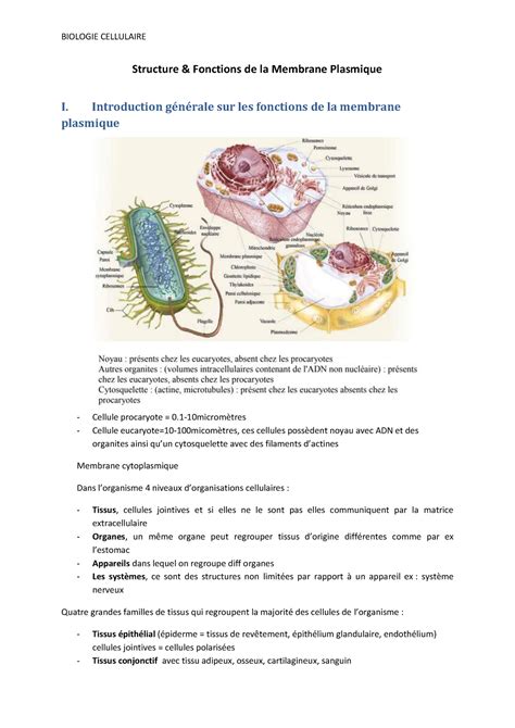 Structure Et Fonctions De La Membrane Plasmique BIOLOGIE CELLULAIRE