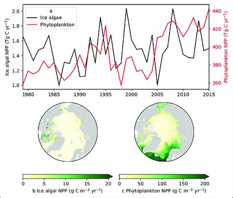 Simulated Ice Algal And Phytoplankton Primary Production In The Arctic