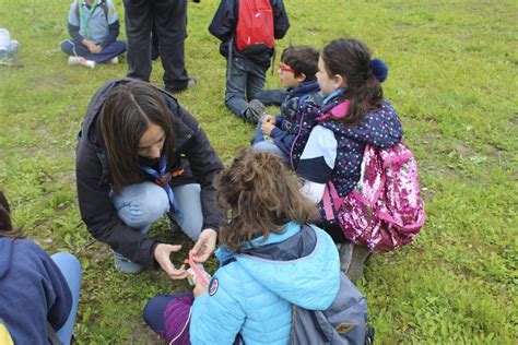 San Jorge 2019 Asde Exploradores Del Principado De Asturias