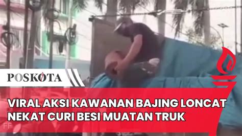 Viral Kawanan Bajing Loncat Nekat Curi Besi Muatan Truk Di Jalan Raya