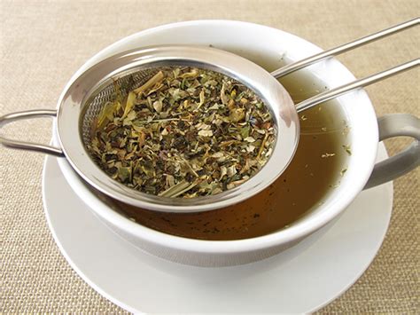 Mullein Tea Benefits Side Effects And Recipe Chinese Teas 101