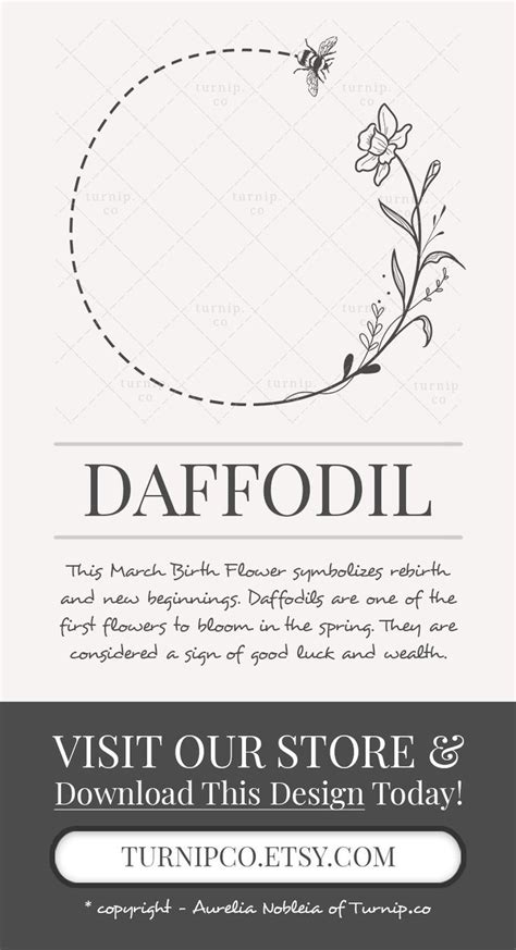 March Birth Flower Daffodil Flower Meaning Symbolism Revealed