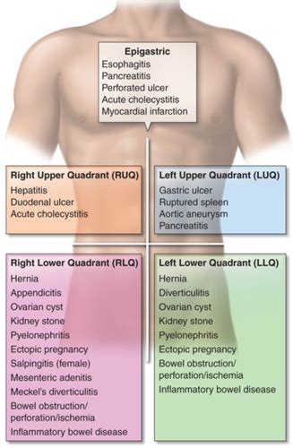 Gi System Flashcards Quizlet