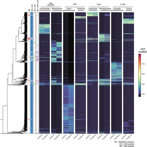 Amplicon Sequence Variants Asvs Abundance And Distribution The