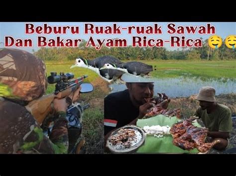 Berburu Burung Sawah Dan Bakar Rica Rica Omvikaradventure Youtube