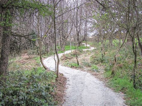 Woodland Walk History Monageer Grotto