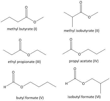 C5h10o2 Lewis Structure