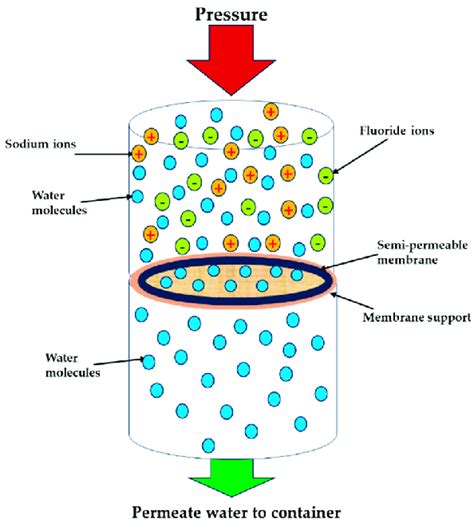 Schematic Representation Of Fluoride Removal Mechanisms Using Reverse