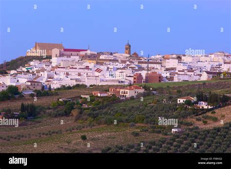 Montilla cordoba province montilla moriles area hi-res stock ...