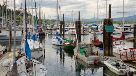 Visit Cowichan Bay 2022 Travel Guide For Cowichan Bay British