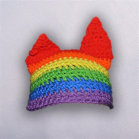 Pride Flag Pussy Hat The Parity Store