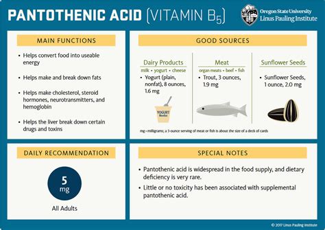 Biotin And Pantothenic Acid Benefits Foods Sources Deficiency Toxicity