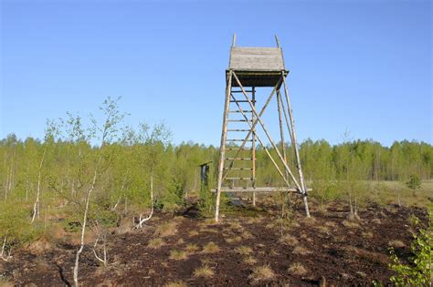 Black Lake Swamp Trail
