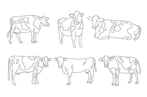 Dibujado A Mano Ilustraci N De Contorno De Vaca Vector Png Dibujos