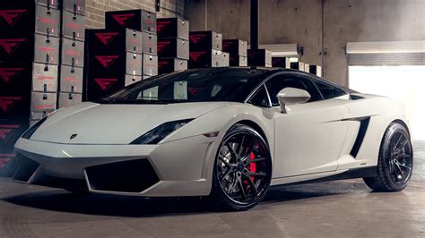 White Lamborghini Gallardo Black Rims