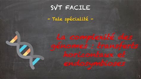 Svt Facile Tale Sp La Complexification Des G Nomes Transferts