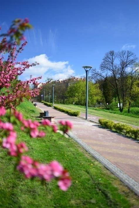 Ciąg Pieszo Rowerowy MOSiR Sandomierz