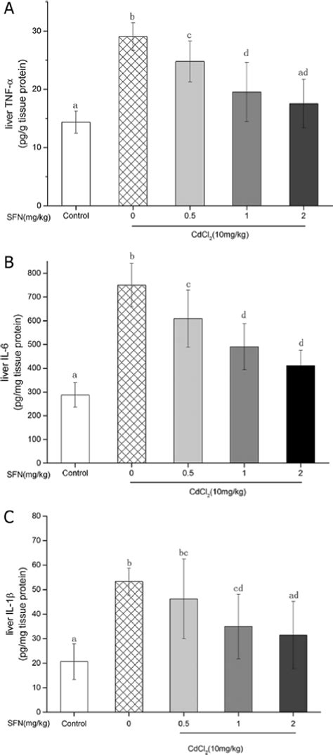 Il 6 Interleukin 6 Tnf α Tumor Necrosis Factor α Il 1β Interleukin