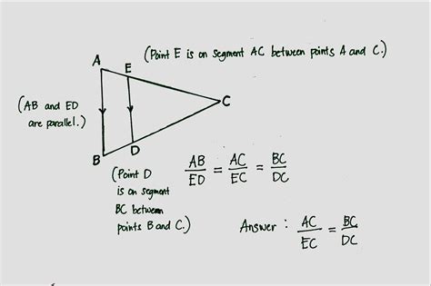 Solved Triangles ABC And EDC Are Similar And Segments AB And ED Are