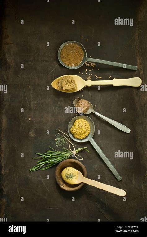 Different Types Of Mustard On Spoons Thyme Rosemary Stock Photo Alamy