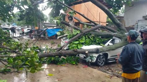 Waspada Hujan Badai Di Bogor Pohon Bertumbangan Dan Timpa Mobil